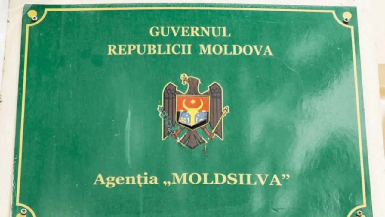 Guvernul anunță reducerea angajaților din agenții cu 30%. Expert: Competențele funcționarilor publici pot fi valorificate în sectorul privat