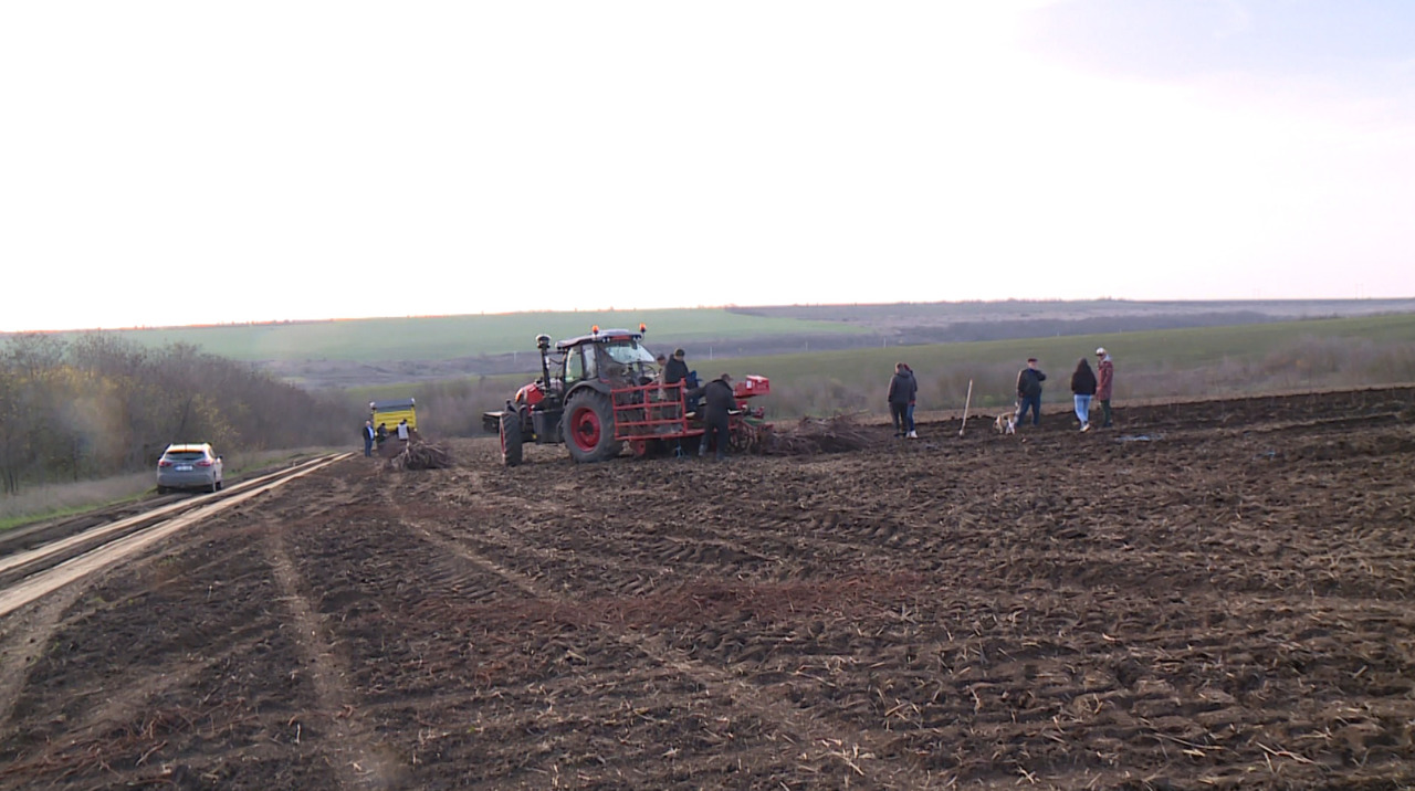 Modern orchards and innovative solutions: two Ștefan Vodă farmers fight climate challenges