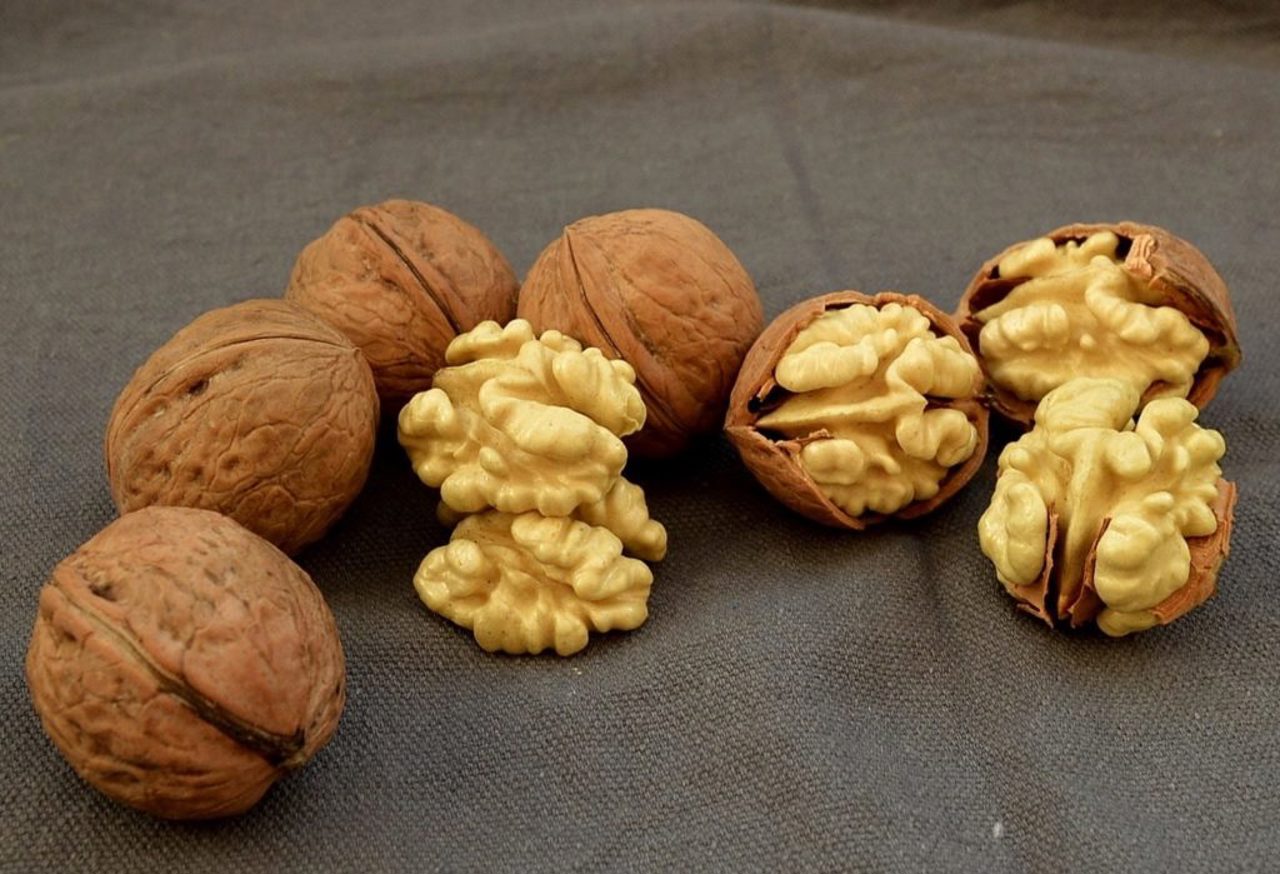 Afacere cu nuci, la un alt nivel: Cooperativa modernă de la Inești