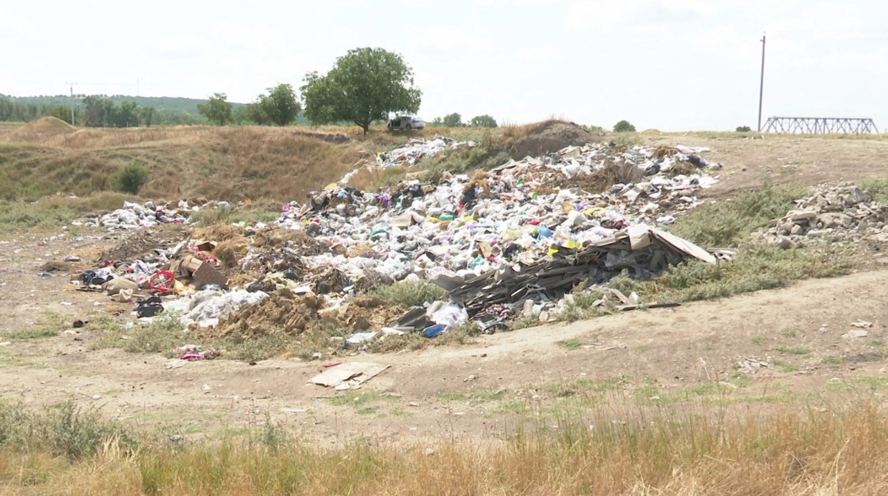 Gunoi la 100 de metri de un monument al naturii: Situl fosilifer din Calfa, în pericol 