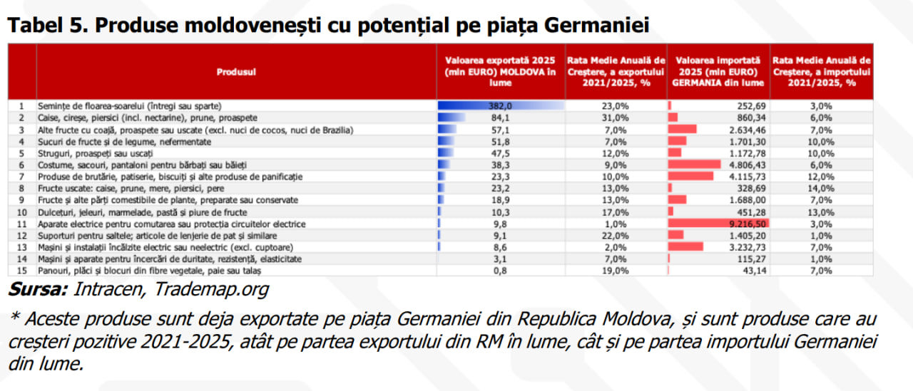 Raport Export Vision Germania