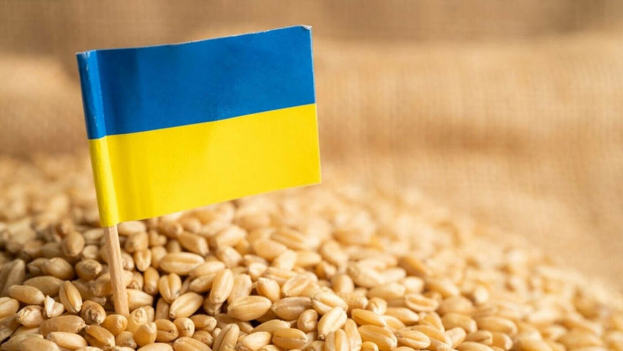 The USA, the EU, Ukraine and the Republic of Moldova are meeting today in Galati to discuss the issue of Ukrainian grain exports