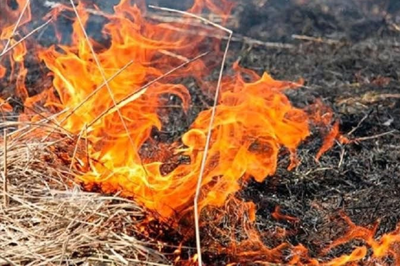 Incendiu de vegetație în zona bulevardului Traian din Chișinău: Șase echipaje de pompieri au intervenit