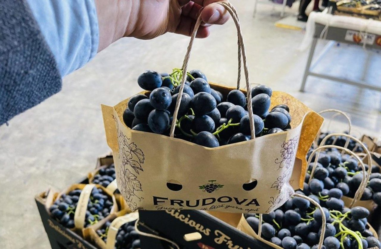 Încă cinci producători din sudul R. Moldova își pot exporta strugurii pe piața UE: „A fost dificil, nu imposibil”   