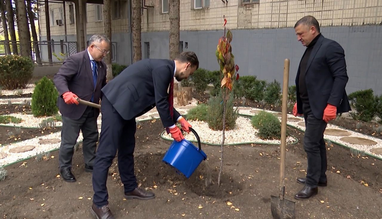 Cooperare și prietenie: Ambasadorul Japoniei la Chișinău și conducerea Teleradio-Moldova au plantat copaci de sakura în curtea TRM 