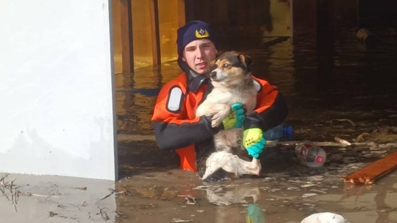 В Казахстане эвакуировали больше 100 тысяч человек из-за паводка