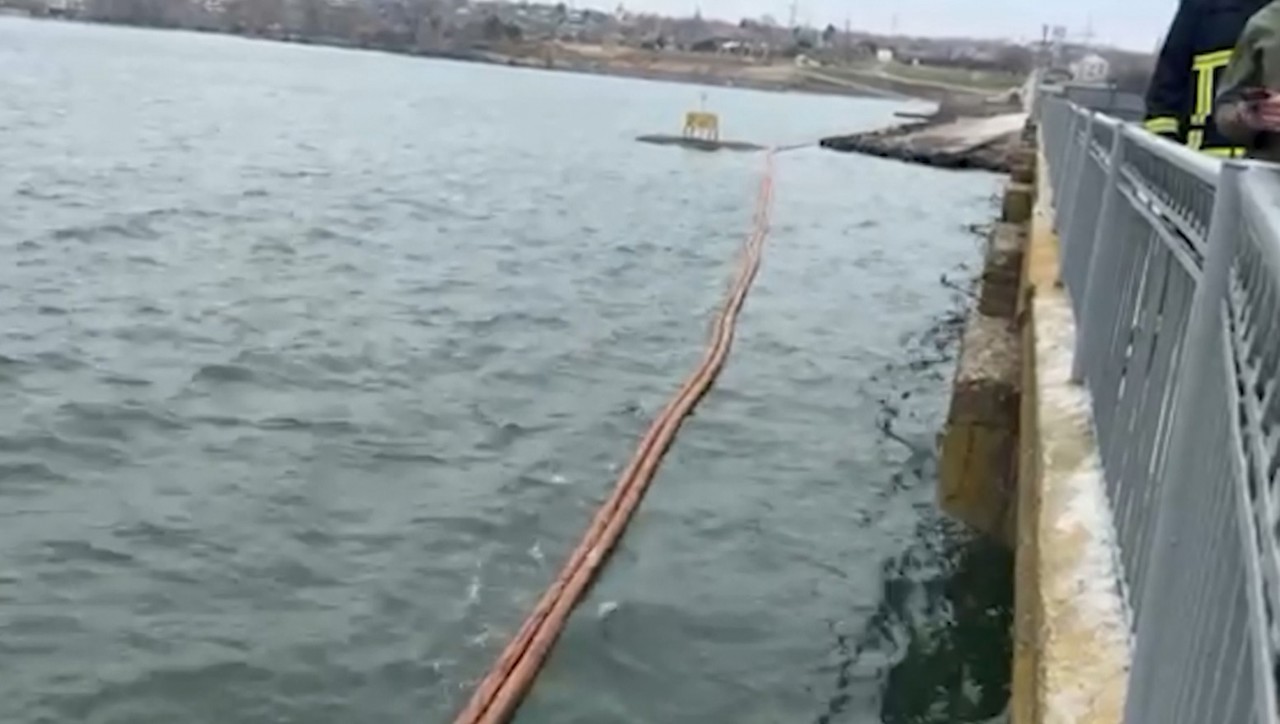 Păsări moarte au fost observate pe suprafața fluviului Nistru, în apropiere de satul Pohrebea